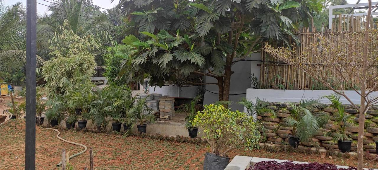 Pepper Valley Resort Kalpetta Exterior foto