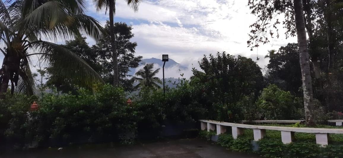 Pepper Valley Resort Kalpetta Exterior foto